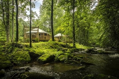Yurts in a forest with a stream running past